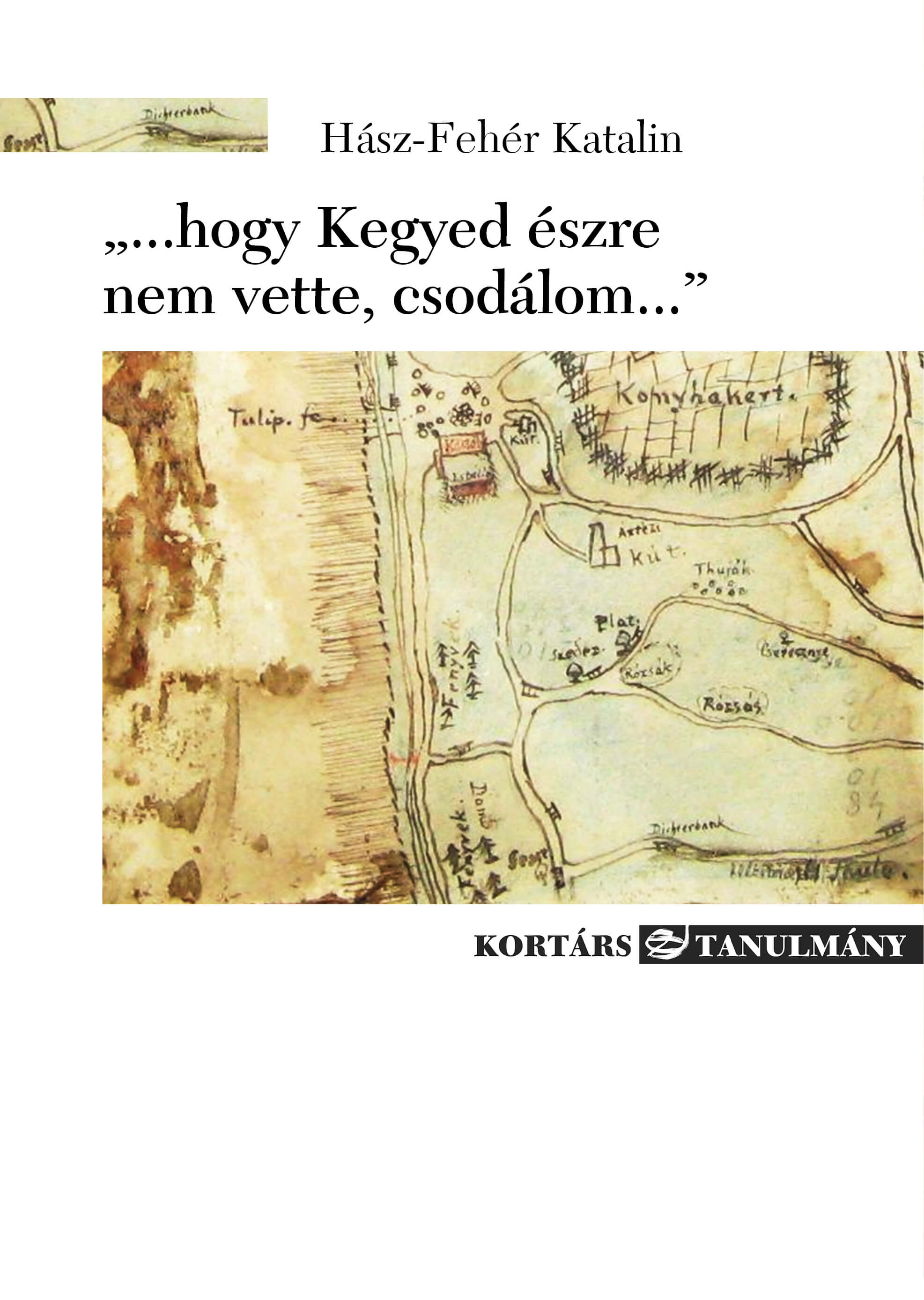 Hász-Fehér Katalin: „...hogy Kegyed észre nem vette, csodálom...”